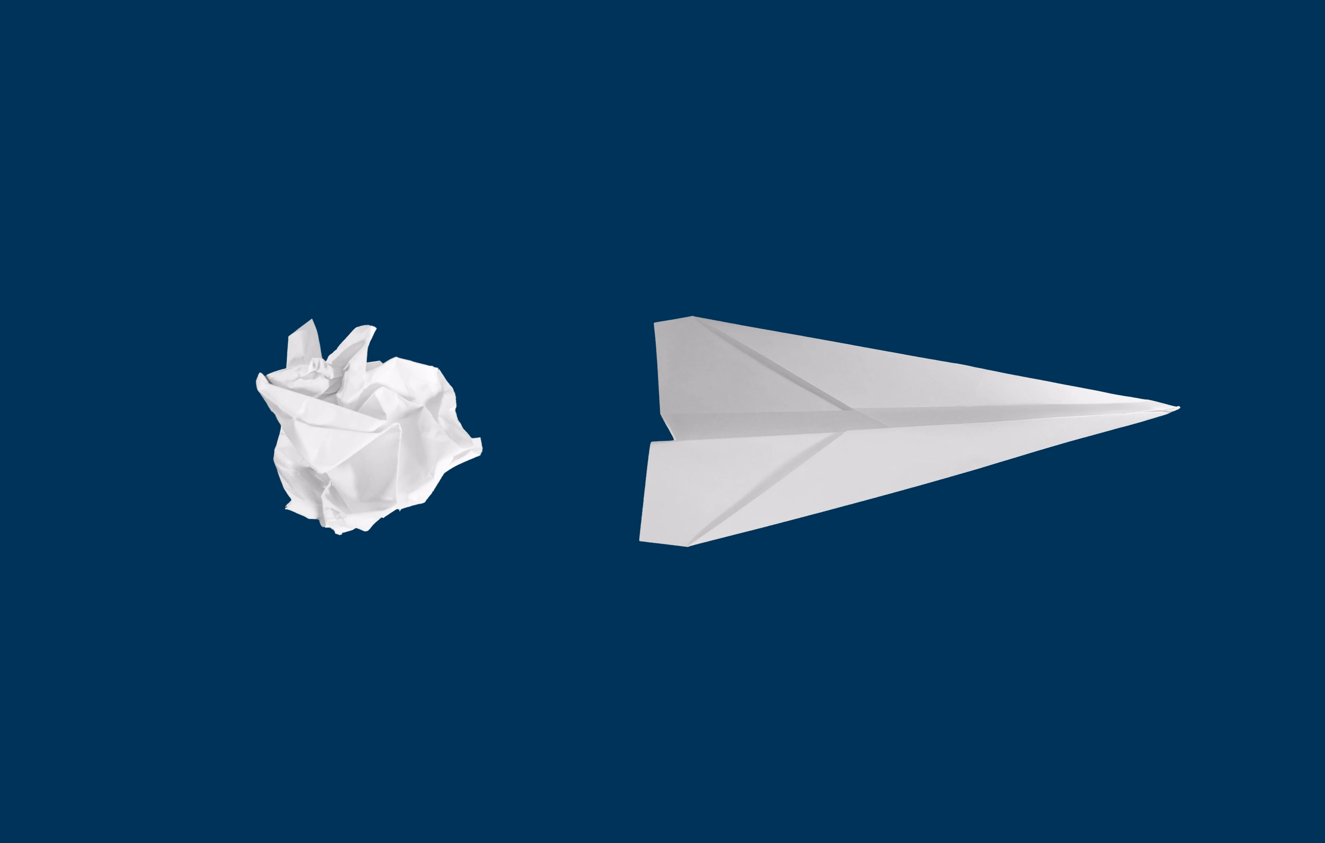 Paper plane by Matt Ridley